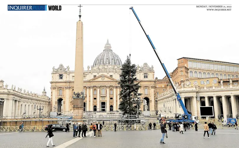  ?? —PHOTOS BY REUTERS ?? ADVANCE GIFT A giant silver fir is set up on Nov. 17 in St. Peter’s Square to serve as the Vatican’s Christmas tree this year.