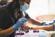  ?? Stephen Lam / Special to The Chronicle ?? Tamareh Abualhsan, a clinical research coordinato­r on the coronaviru­s with UCSF, prepares to take a blood sample.