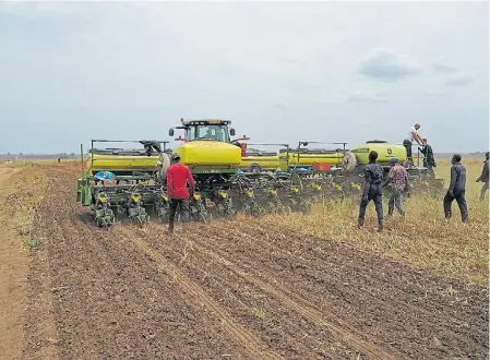  ??  ?? Siembra. Para cortar las seguidilla­s de maíz sobre maíz buscan afianzar las rotaciones con soja y girasol.