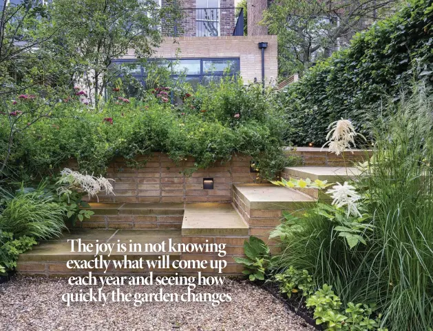  ??  ?? Above Subtly underlit York stone steps, which use the same distinctiv­e Petersen bricks of the new extension, link the smart upper terrace with a shadier gravel area that is largely hidden from view on the the upper terrace by the meadow planting. In this shadier area, a largely green planting pallete is lifted by the pale flowers of Digitalis lutea and Aruncus dioicus.