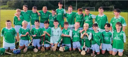  ?? Ballyduff U12 hurlers who won the Division 2 county hurling league in Fossa last Friday night. ??