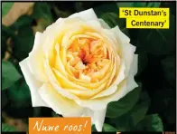  ??  ?? ‘St Dunstan’s Centenary’