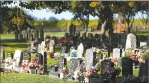  ?? Photo: Stuff. ?? Cemetery fees in Marlboroug­h could rise again.