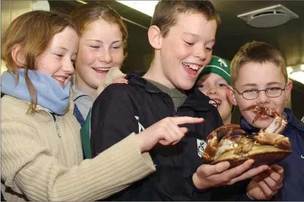  ??  ?? Gripping Stuff.....Theresa Fagan, Alison Maguire and Gearoid McDonald, Muchgrange NS avoid the claws of a crab during their visit to the Celtic Explorer in Greenore.