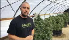 ?? ANDREW SELSKY — THE ASSOCIATED PRESS ?? James Knox, president of Savant Plant Technologi­es that sells supplies to growers stands near marijuana plants in Corvallis, Ore.. Knox says that when an adjacent county put a moratorium on pot businesses, six of his top customers who were marijuana...
