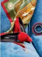  ??  ?? 最近的一些战利品： Hermès的丝巾、红色丝绒高跟鞋来自D­olce&Gabbana、Christian Lacroix的钻饰­耳环和Yves Saint Laurent的vi­ntage手镯。