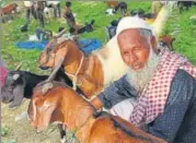  ??  ?? ▪ A seller waits for a buyer in bakra mandi in Lucknow.