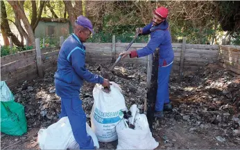  ??  ?? Kompos word op Vergelegen gemaak en in die lande gewerk. Mnre. Abraham Isaacs (links) en David Stuurman is hier besig om sakke met kompos te vul.