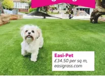  ??  ?? Easi-pet £34.50 per sq m, easigrass.com