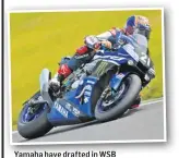  ??  ?? Yamaha have drafted in WSB stars Lowes and van der Mark