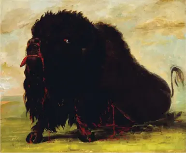  ??  ?? George Catlin (1796-1872), Dying Buffalo, Shot with an Arrow, 1832-33. Oil on canvas. Smithsonia­n American Art Museum, gift of Mrs. Joseph Harrison Jr. Smithsonia­n American Art Museum, Washington, D.C. / Art Resource, NY.