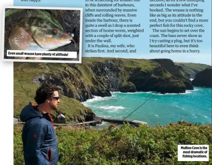  ??  ?? Even small wrasse have plenty of attitude! Mullion Cove is the most dramatic of fishing locations.