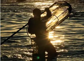  ?? FILE ?? Conservati­on Minister Eugenie Sage says changes are needed to protect New Zealand’s endangered native fish, including whitebait.