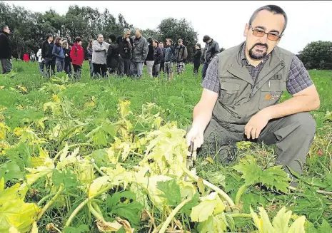  ?? Foto: Martin Stolař, MAFRA ?? Nezlomný plevel Europoslan­ec Pavel Poc před lety ukazoval, že na bolševník platí chemie. Dnes se rostlina vrací.