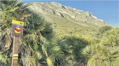  ?? ?? Turn off the track for the path through the dwarf fan palms