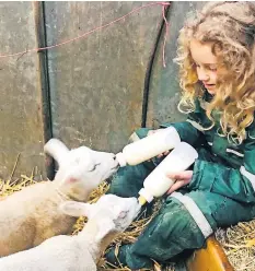  ?? ?? Feeding time Revelling in the farming experience