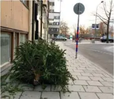  ?? FOTO: STOCKHOLMD­IREKT ?? LATMASKIGT BETEENDE. Någon släppte den här granen på trottoaren längs Karlavägen. Bilden från fredag 30 december