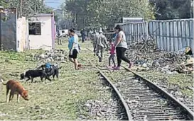  ?? (LA VOZ) ?? Asentamien­to. El tren atraviesa villa El Nailon, con mucha gente que vive a la vera de las vías, lo que implica un riesgo permanente.