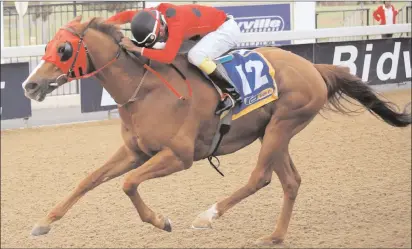  ??  ?? PRICELESS GEM, with Doctor Lembethe up, wins the The Jackpot Quickmix MR 61 Divided Handicap at Greyville yesterday. Picture: Denzil Govender