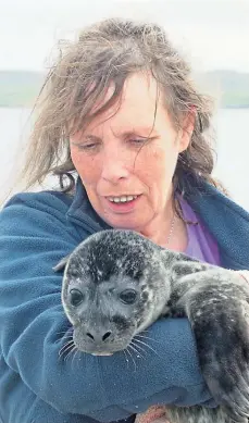  ?? ?? ENTANGLED: A mother grey seal can been seen with rope cutting into her neck as her pup lies in plastic waste; Jan Bevington with a rescued pup.