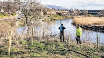  ??  ?? Natural A community group has introduced a new patch of native plants to allow natural regenerati­on