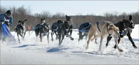  ?? Russ Dillingham/Sun Journal via AP ?? DASHING THROUGH Jocelyn Bradbury of Oxford, Maine, leans into her sled Sunday as her team pulls her over the final stretch of a frozen cornfield in Farmington, Maine, and to victory in the Maine State Sled Dog 8-team Race.