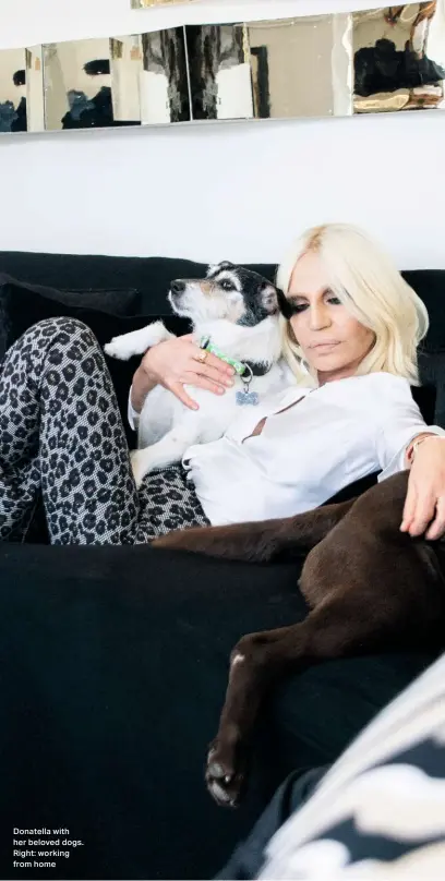  ??  ?? Donatella with her beloved dogs. Right: working from home