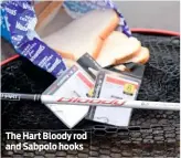  ??  ?? The Hart Bloody rod and Sabpolo hooks