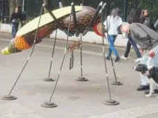  ?? Andre Penner, The Associated Press ?? A man walking his dog Friday stops to examine an Aedes aegypti mosquito sculpture created by street artist Andre Farkas on a sidewalk in São Paulo. According to Farkas, the sculpture is intended to bring awareness to the spread of the Zika virus...