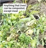  ??  ?? Anything that lived can be composted, except meat