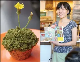  ??  ?? Drawing inspiratio­n from her surroundin­gs, Japanese chef Yui Aida creates desserts made with vegetables and fruits that resemble elements from nature.