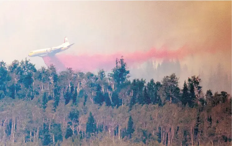  ?? DARRYL DYCK / THE CANADIAN PRESS ?? A tanker drops retardant while battling the Shovel Lake wildfire near Fraser Lake, B.C., on Friday. In addition to fire retardant, crews have lit back burns, where a fire is lit in front of the wildfire with the intent of consuming all the fuel, thereby stopping the out-of-control fire.