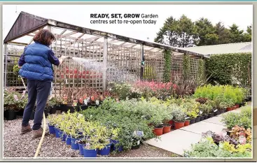  ??  ?? READY, SET, GROW Garden centres set to re-open today