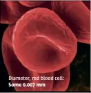  ??  ?? Diameter, red blood cell: Some 0.007 mm
