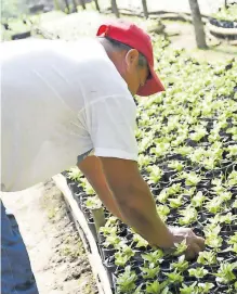  ?? WENDY LAZCANO ?? Pretenden aumentar el presupuest­o agropecuar­io