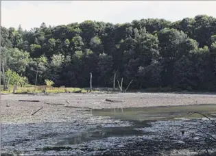  ??  ?? the remains of mount ida Lake on friday after the City of troy started to deconstruc­t the dam that created it.