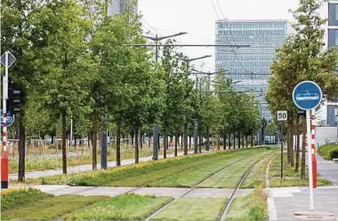  ?? Foto: Lex Kleren ?? So viel Grün in die Stadt wie nur möglich: Jeder Quadratmet­er Bepflanzun­g, ob auf Dächern, an Wegen oder selbst an Fassaden, hilft, das Stadtklima zu verbessern.