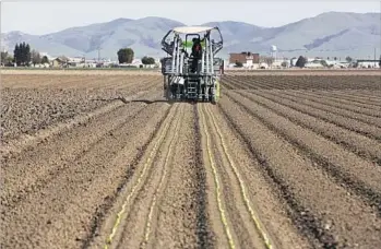  ?? Photograph­s by Gary Coronado Los Angeles Times ?? PLANTTAPE, used by grower Tanimura & Antle, consists of strands of seedlings that resemble nine-volt batteries in a machine gun belt. Above, the system is used to plant romaine lettuce in Salinas, Calif.