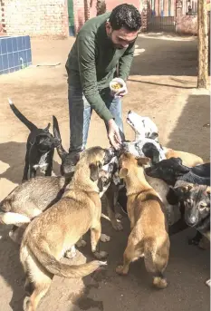  ??  ?? Ahmed el-Shorbagi, owner of the HOPE shelter for stray dogs, feeds dogs in the shelter’s courtyard.