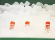  ??  ?? Vials containing microbiome material sit on dry ice at the newly opened UCSF Benioff Center for Microbiome Medicine.