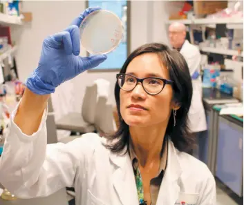  ?? PHOTO COURTOISIE ?? La Dre Dao Nguyen de l’université Mcgill étudie la bactérie Pseudomona­s aeruginosa, aussi appelée « bactérie cauchemard­esque ».