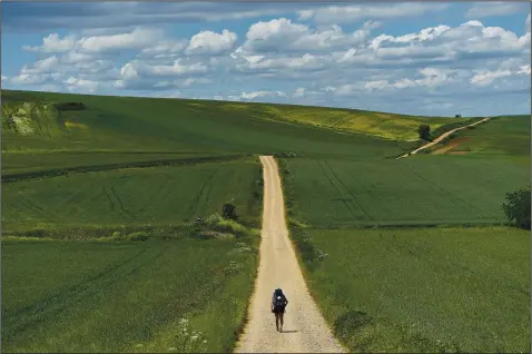  ?? (AP/Alvaro Barrientos) ?? A pilgrim walks May 31 along the Camino de Santiago near Santo Domingo de La Calzada, Spain.