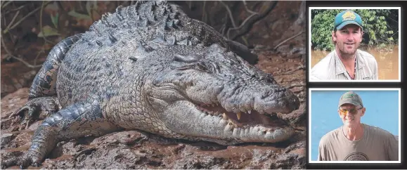  ?? ?? An estuarine crocodile on the banks of the Daintree River; ecologist Brian Coulter (inset top); and crocodile conservati­onist David White. Main picture: David White