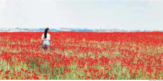  ?? JOSÉ ÁNGEL GARCÍA ?? Una mujer en medio del campo de amapolas.