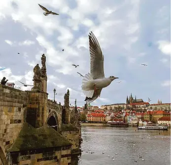  ?? Foto: Petr Topič, MAFRA ?? Nezvykle svěží metropole Česko mělo podle ministerst­va životního prostředí letos nejlepší ovzduší za posledních 11 let. Kvalitnějš­í vzduch dýchají i Pražané, pokazit to může zima zplodinami z topenišť.