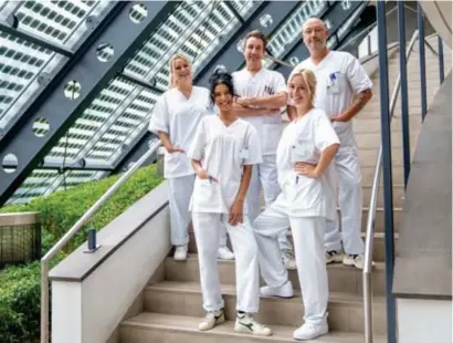  ?? FOTO VTM ?? Naast Julie Vermeire (rechts) nemen ook (vlnr.) An Lemmens, Sarah Mouhamou, Andy Peelman en Dominique Persoone deel aan het nieuwe seizoen van ‘Een echte job’.