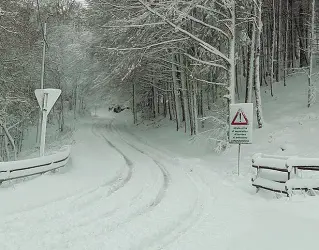  ??  ?? Ostruita Una strada innevata sul Cansiglio. Molti gli alberi abbattuti dal vento nell’area di Valdobbiad­ene. A lato, il traffico di ieri mattina nel centro di Treviso