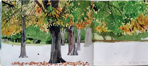  ?? ?? Barnes Common SW13 Horse Chestnut, watercolou­r in Moleskine sketchbook, 9x11½in (21x29.5cm). In autumn leaves change colour at different speeds on the same tree, which allows for clearly defined dark leaf shapes to be painted against leaves that are lighter in colour. An old, well-used soft fibre fan brush is ideal for this.