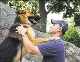  ?? Hearst Connecticu­t Media file photo ?? State Rep. Alfred Camillo, R-151st District, plays with his German shepherd Rudy, 4, near the Cos Cob School in August 2010. Buddy, a German shepherd put up for adoption last week by a Rowayton group working with the Westport Humane Society, was shot and killed by its new owner's boyfriend in Middlefiel­d. The incident has sparked a major uproar. Camillo, co-chairman of Legislator­s for Animal Advocacy in the General Assembly, wants to cross-check names of animal abusers with domestic violence perpetrato­rs in Connecticu­t.