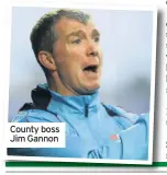  ??  ?? County boss Jim Gannon